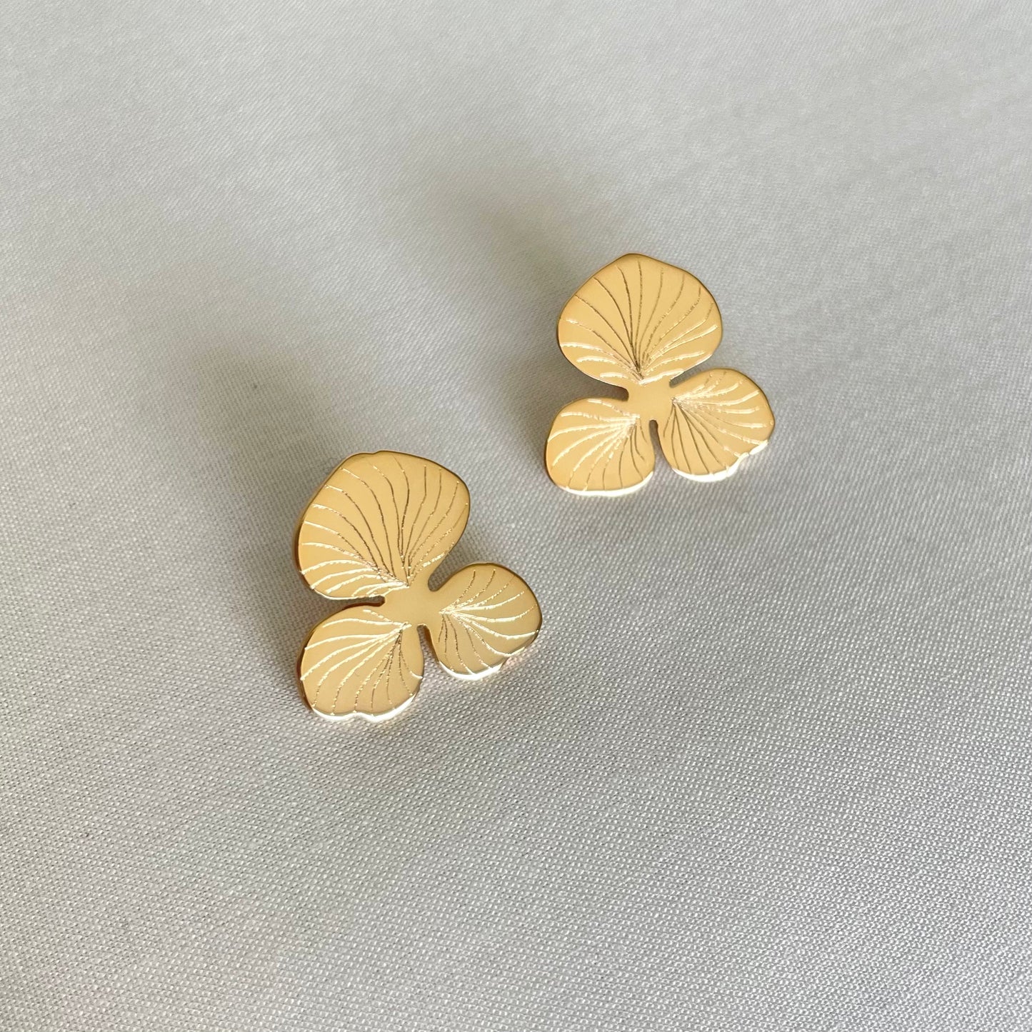 Boucles Nova