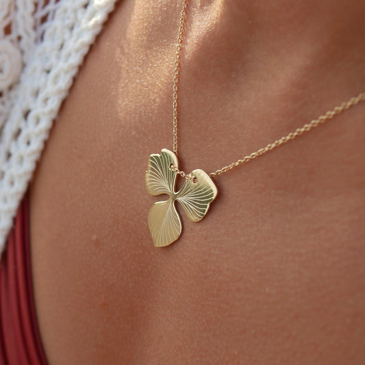 Collier Naos