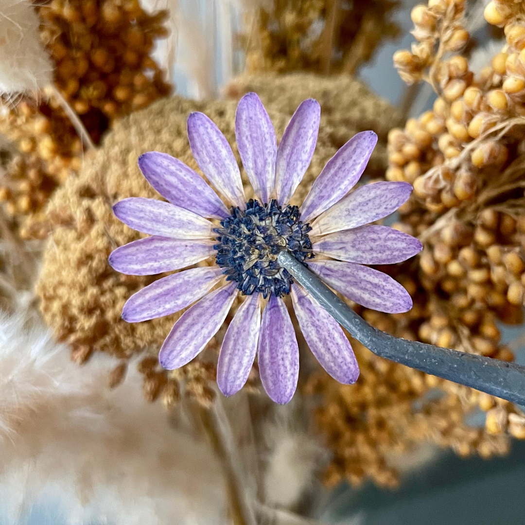 Boucles Hélios