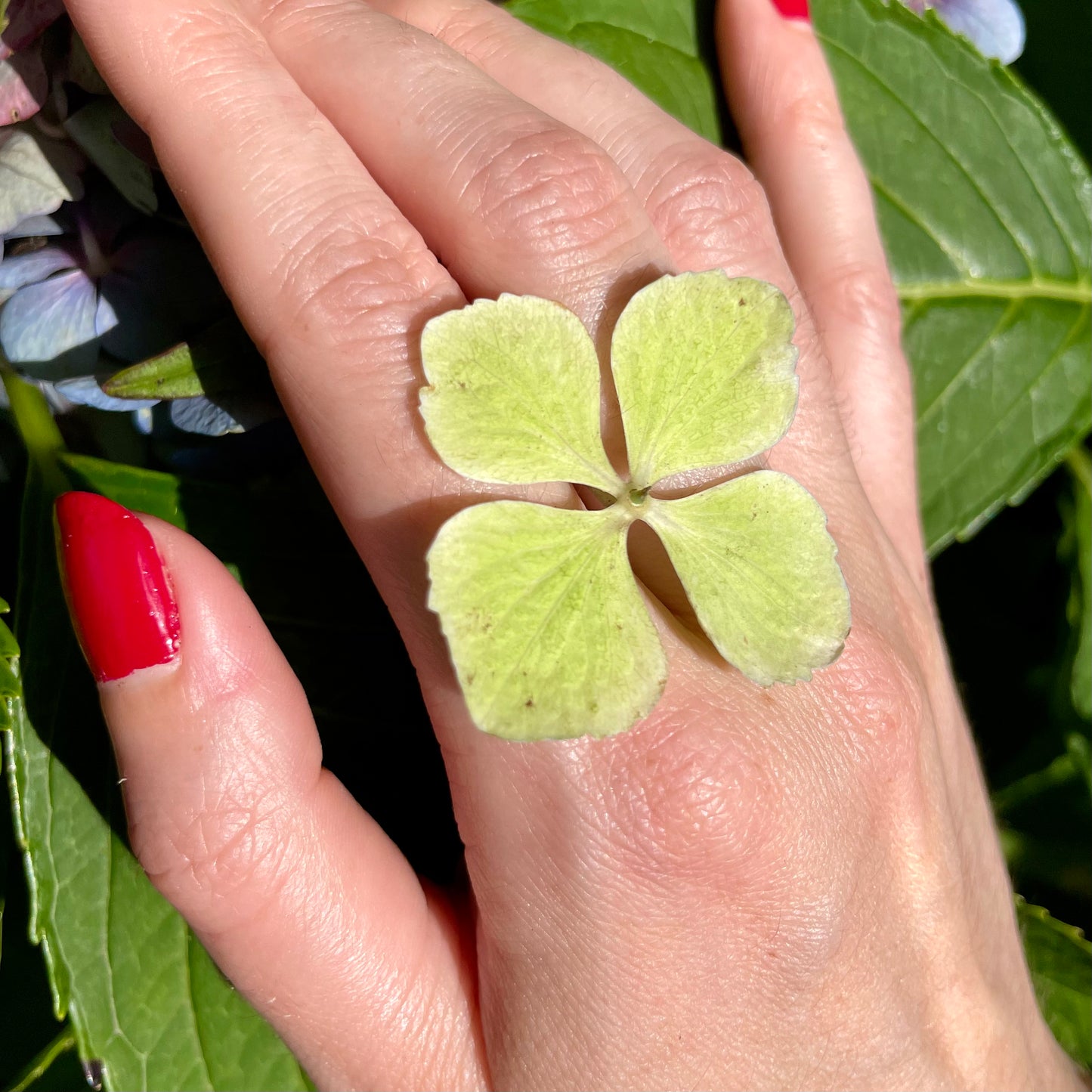 Bague Eva