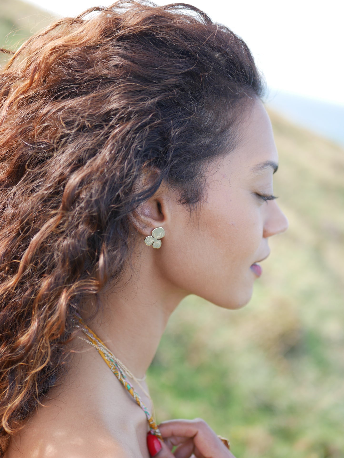 Boucles Nova